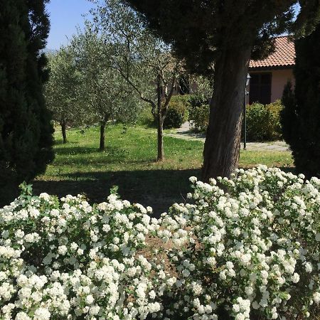 Villa Il Principino Country Resort ヴィンチ エクステリア 写真